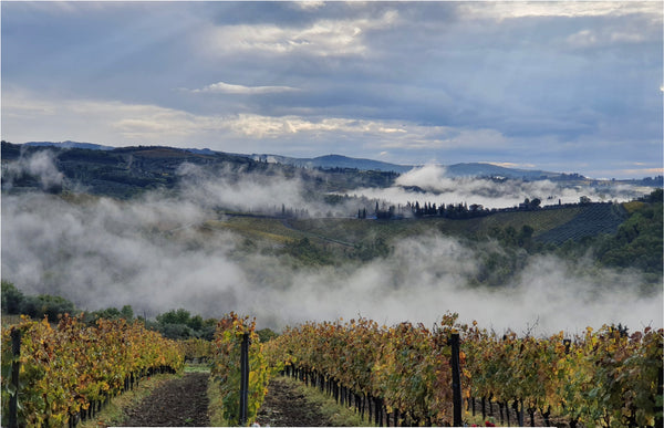 Italian Vineyards Under The Clouds!
