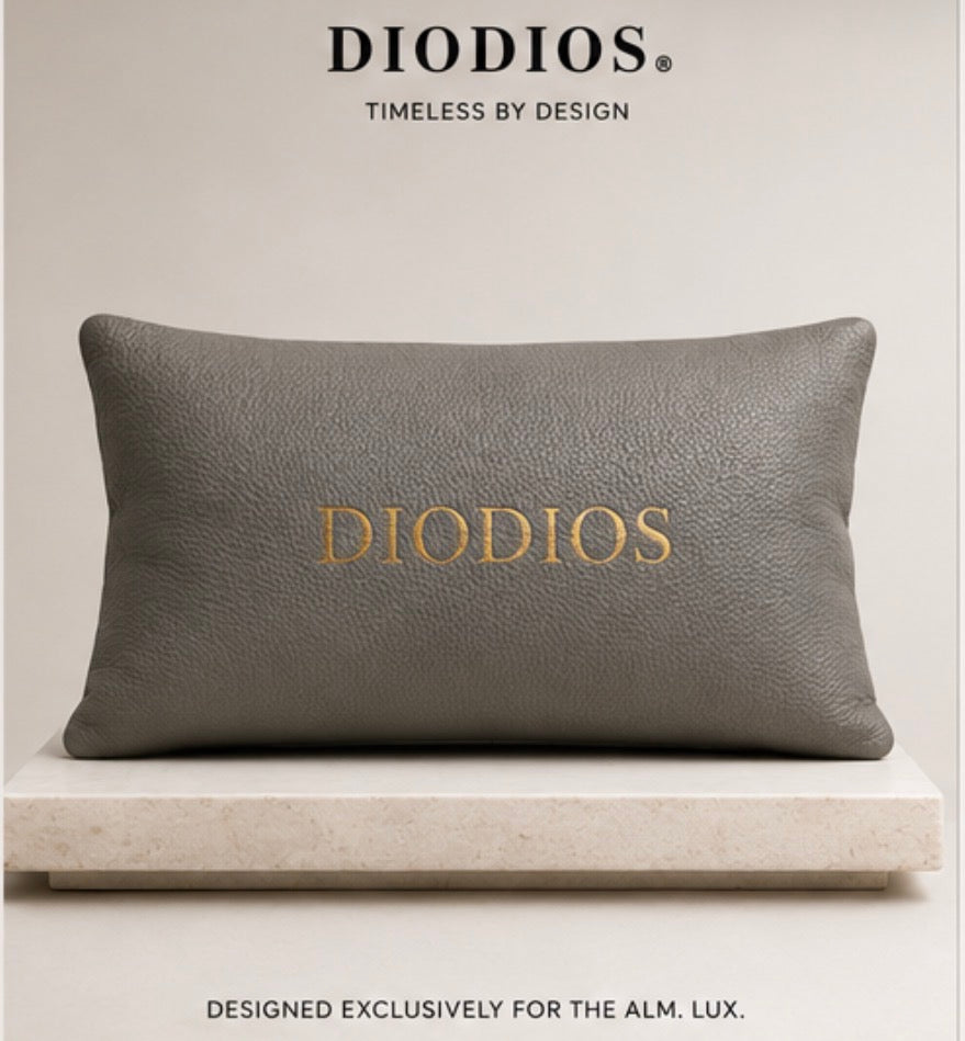 DIODIOS PEBBLED LEATHER BAG PILLOW