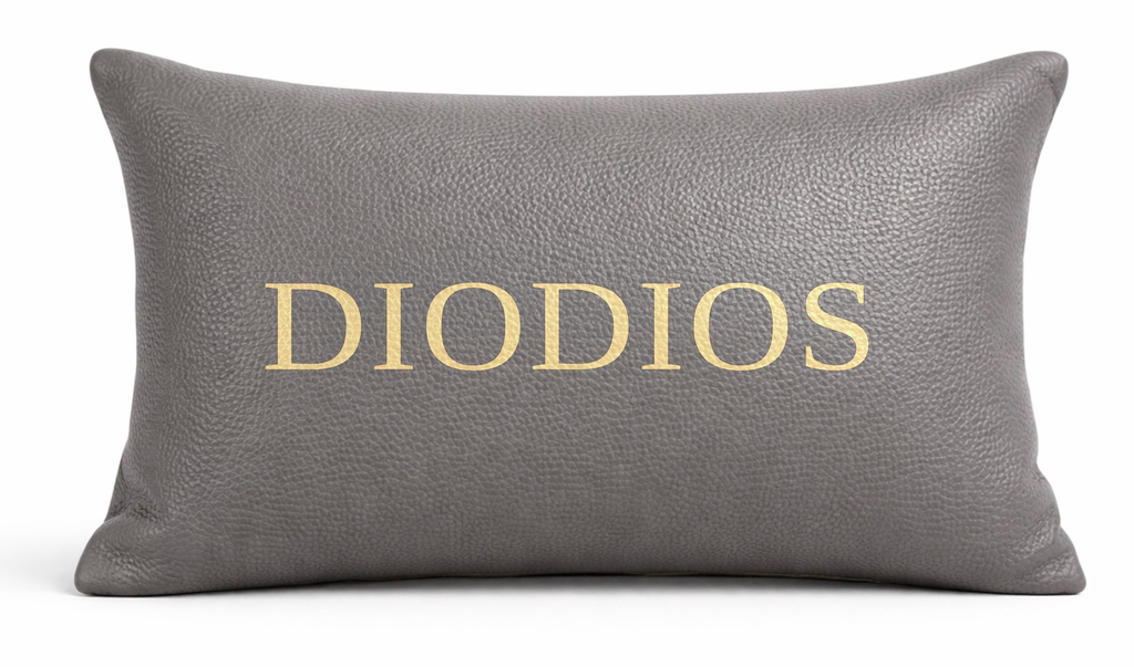 DIODIOS PEBBLED LEATHER BAG PILLOW